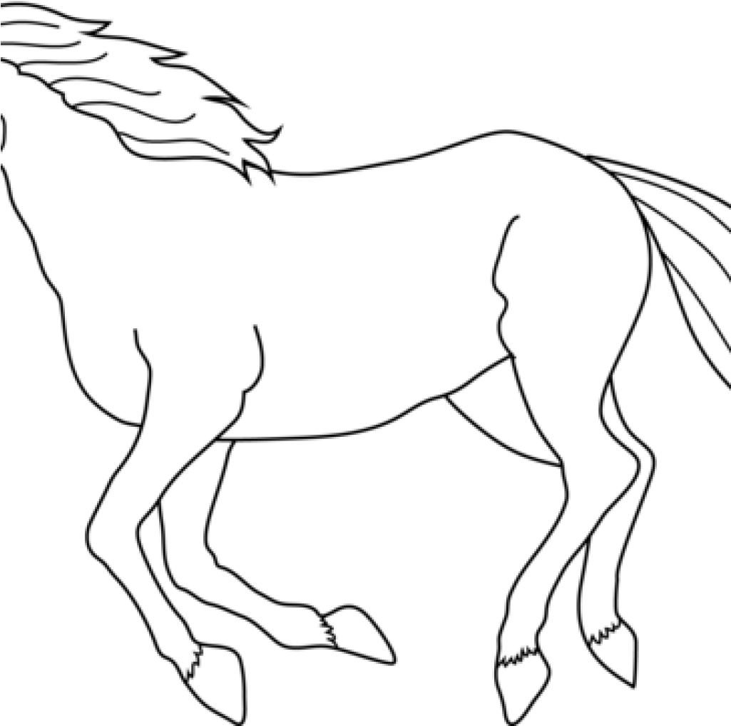 White Horse Clipart Horse Black And White Drawing At - Just A Girl Who Loves Horses T Shirt (1024x1024)