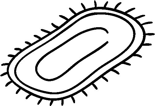 Mat At Getdrawings Com Clipart Free Library - Colouring Picture Of A Mat (600x470)