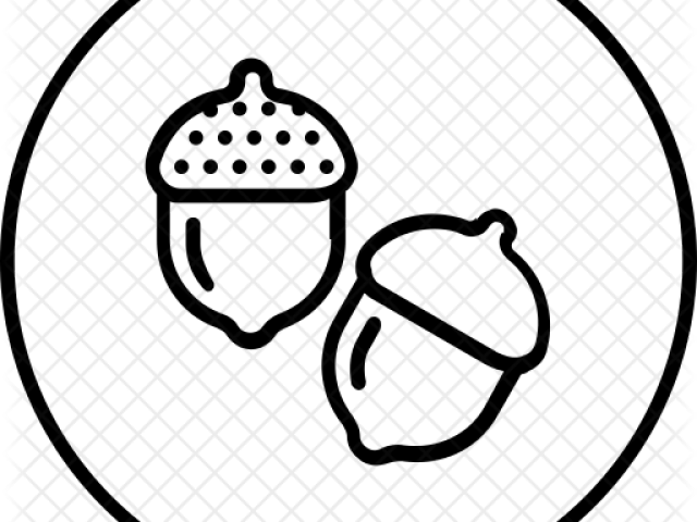 Acorn Icon (640x480)