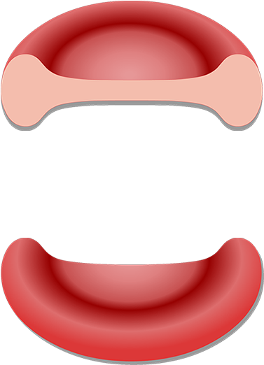 Red Blood Cell (1200x630)