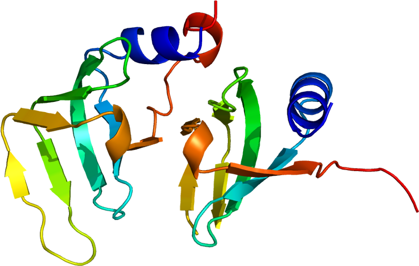 Protein (880x576)
