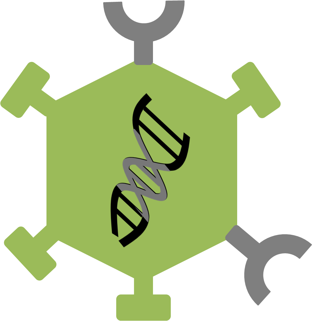 Caps#modified Oncolytic Virus - Genetically Modified Virus (1034x1062)