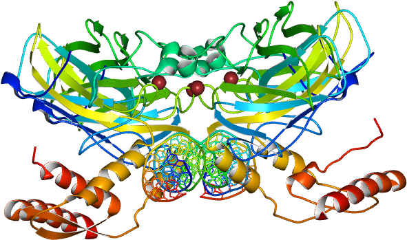 No Rotation Molmil Generated Image Of 3q06 - Illustration (768x768)