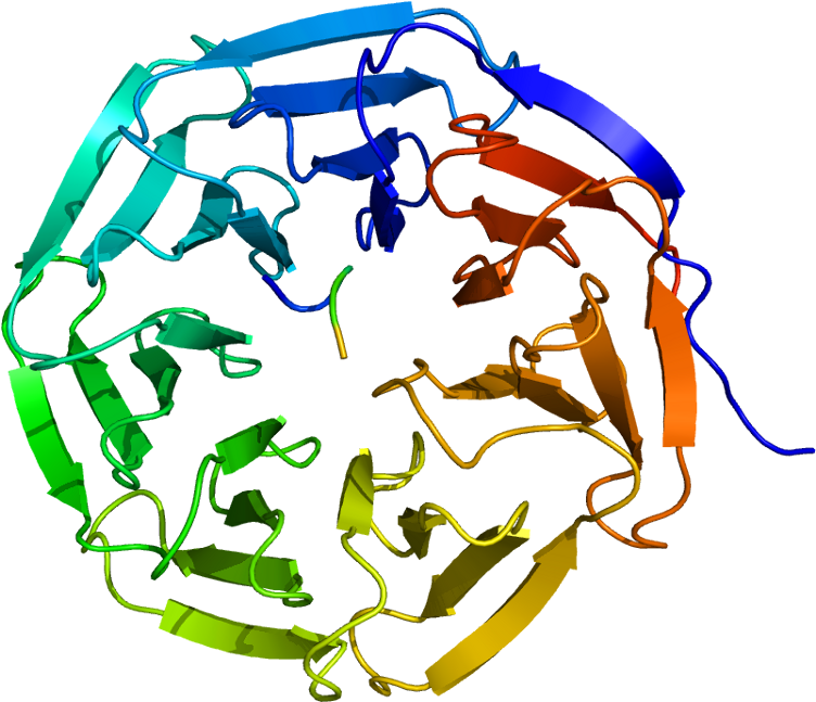 Wd40 Repeat (801x696)