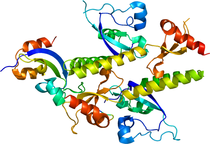 Gene Chd1 (855x601)