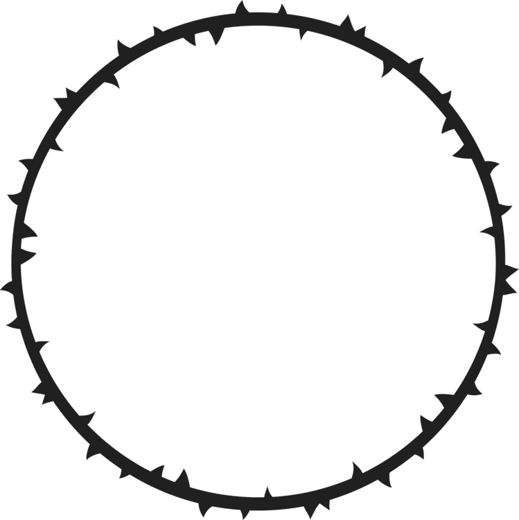 Crown Of Thorns Thorns, Spines, And Prickles Gender - Corona De Espinas Png (749x750)