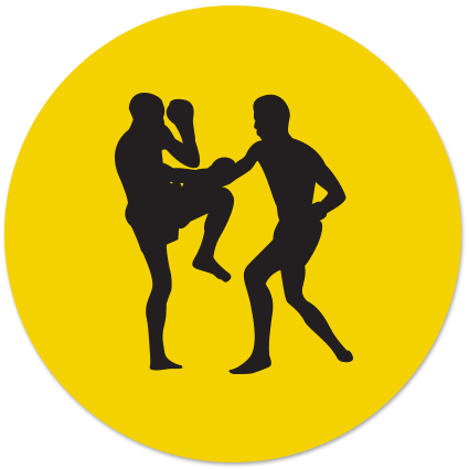 Muay Thai Kickboxing - Muay Thai Icon Png (425x425)