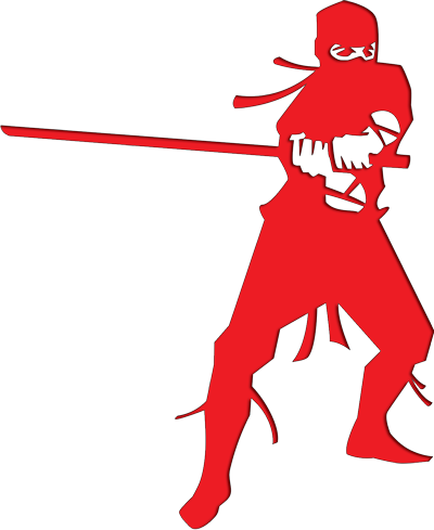 Ninjas - Ninja (400x489)