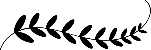 Text Divider Png Clip Art Royalty Free - Doodle Text Dividers Png (620x206)