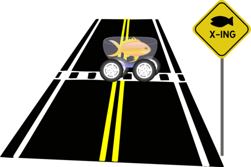 Pedestrian Crossing Traffic Sign Fish Road - Fish Crossing Sign (511x340)