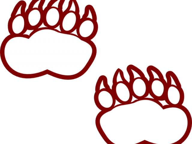 Grizzly Clipart Paw Print - Clip Art (640x480)