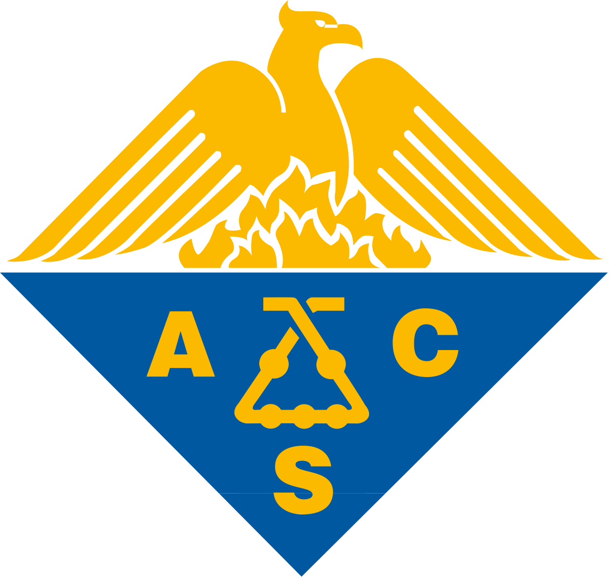 American Chemical Society (1200x1136)
