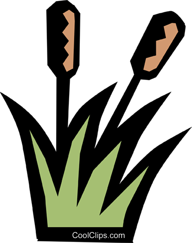 Cattails Royalty Free Vector Clip Art Illustration - Ourboox (380x480)