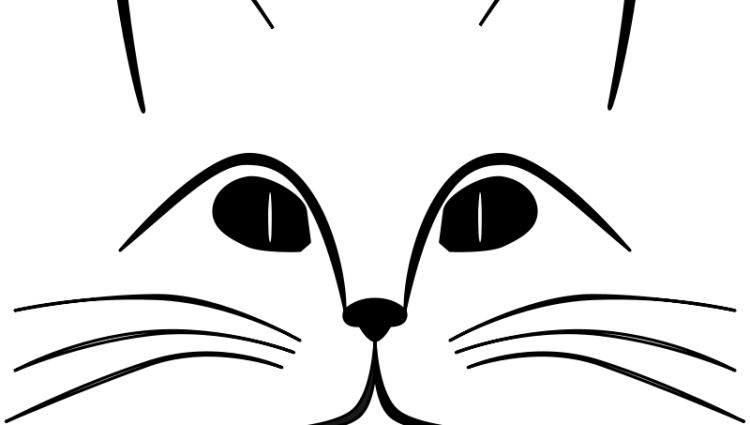 Clip Art Freeuse Download Ears Coloring Page Drawing - Cat Mouth And Whiskers Clipart (750x425)