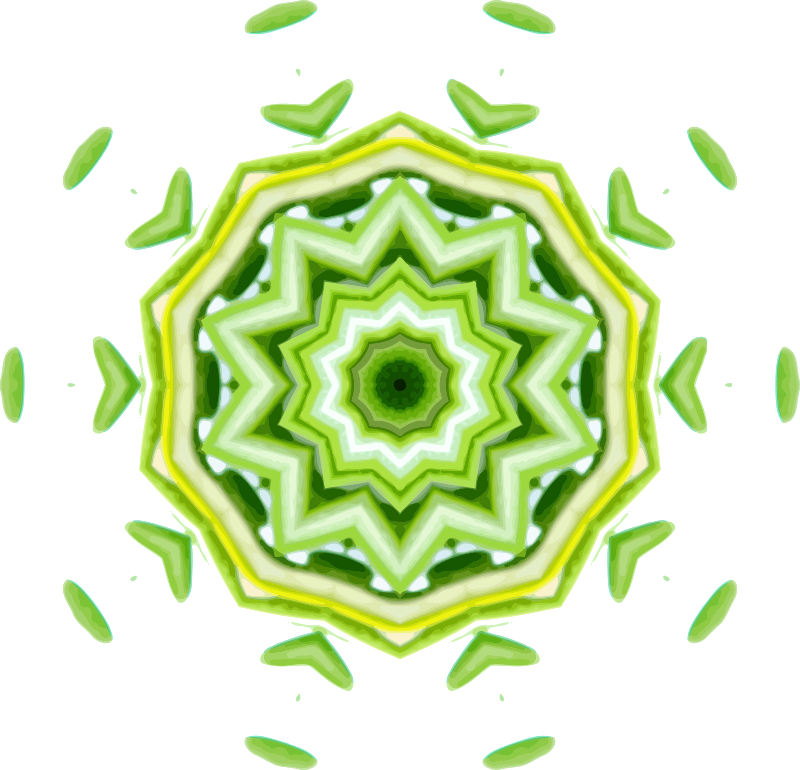Medium Image - Kaleidoscope Pattern Png (800x770)