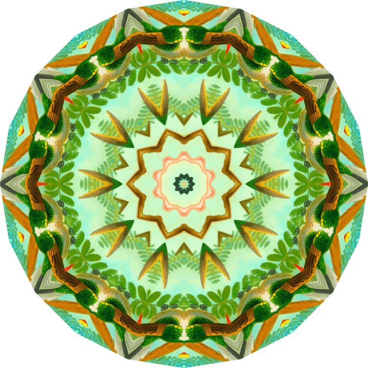 Computer Icons Rotational Symmetry Hummingbird Kaleidoscope - Beautiful Hummingbirds Art 3'x5' Area Rug (750x750)