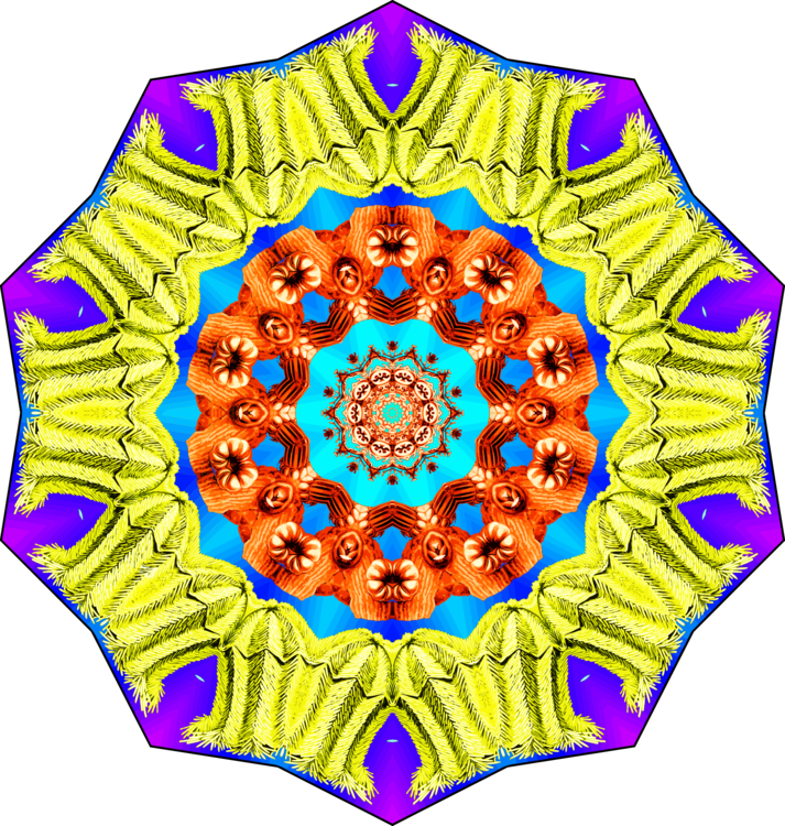Symmetry Kaleidoscope Flower Point - Symmetry Kaleidoscope Flower Point (713x750)