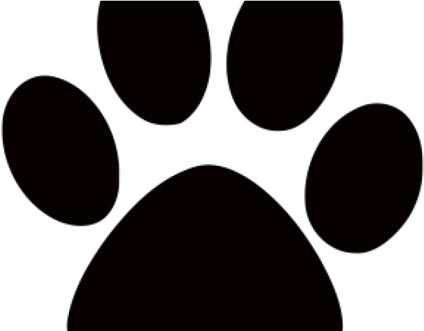 Humane Society Tampa (640x480)