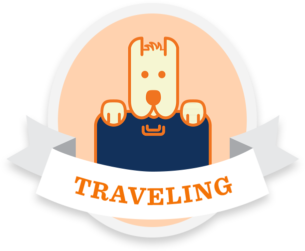 Traveling Tips Photography - Recipe (625x518)