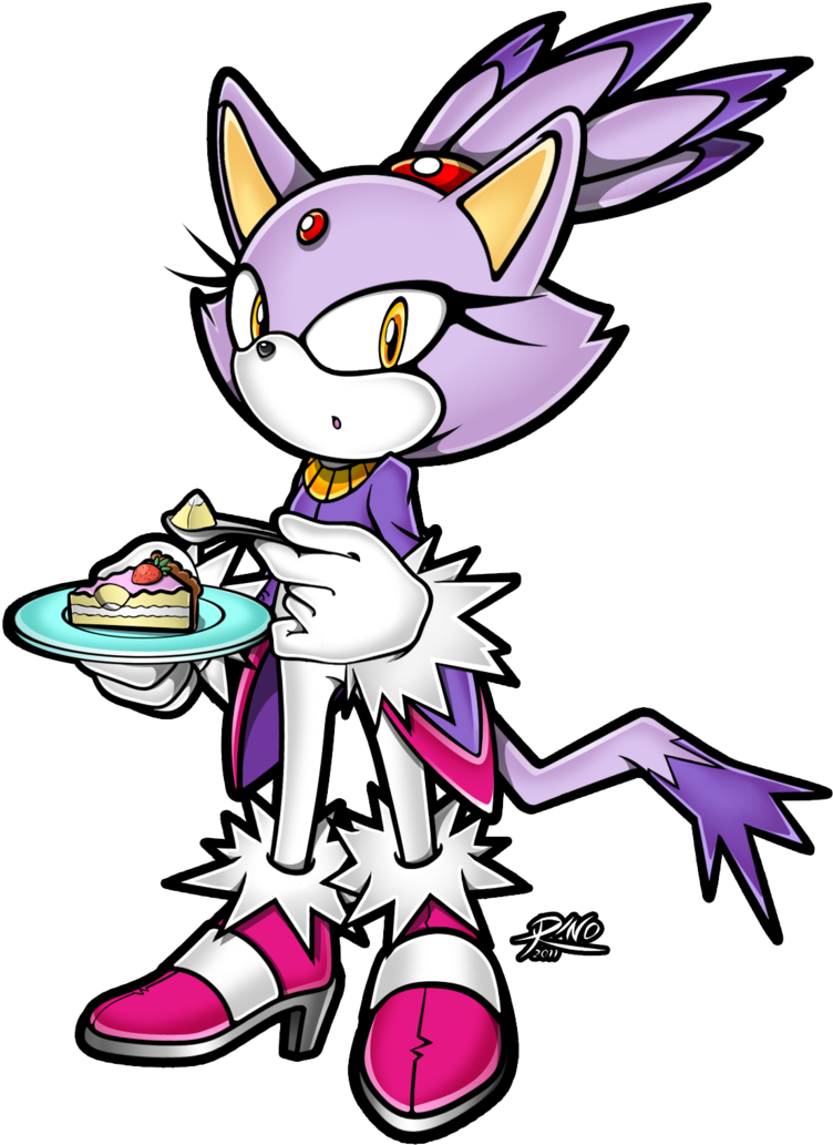 Sonic Rush Sonic Rush Adventure Tails Cat Pink Mammal - Sonic 💖 Blaze (764x1045)