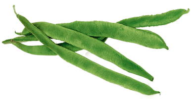 Runner Beans Transparent Png Stickpng - Green Beans Clipart Png (400x400)