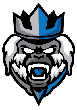 Dfs Flurry Logo - Sports (313x405)