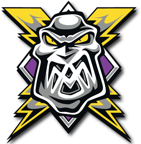 Elite Ice Hockey League - Sheffield Steelers Vs Manchester Storm (500x500)