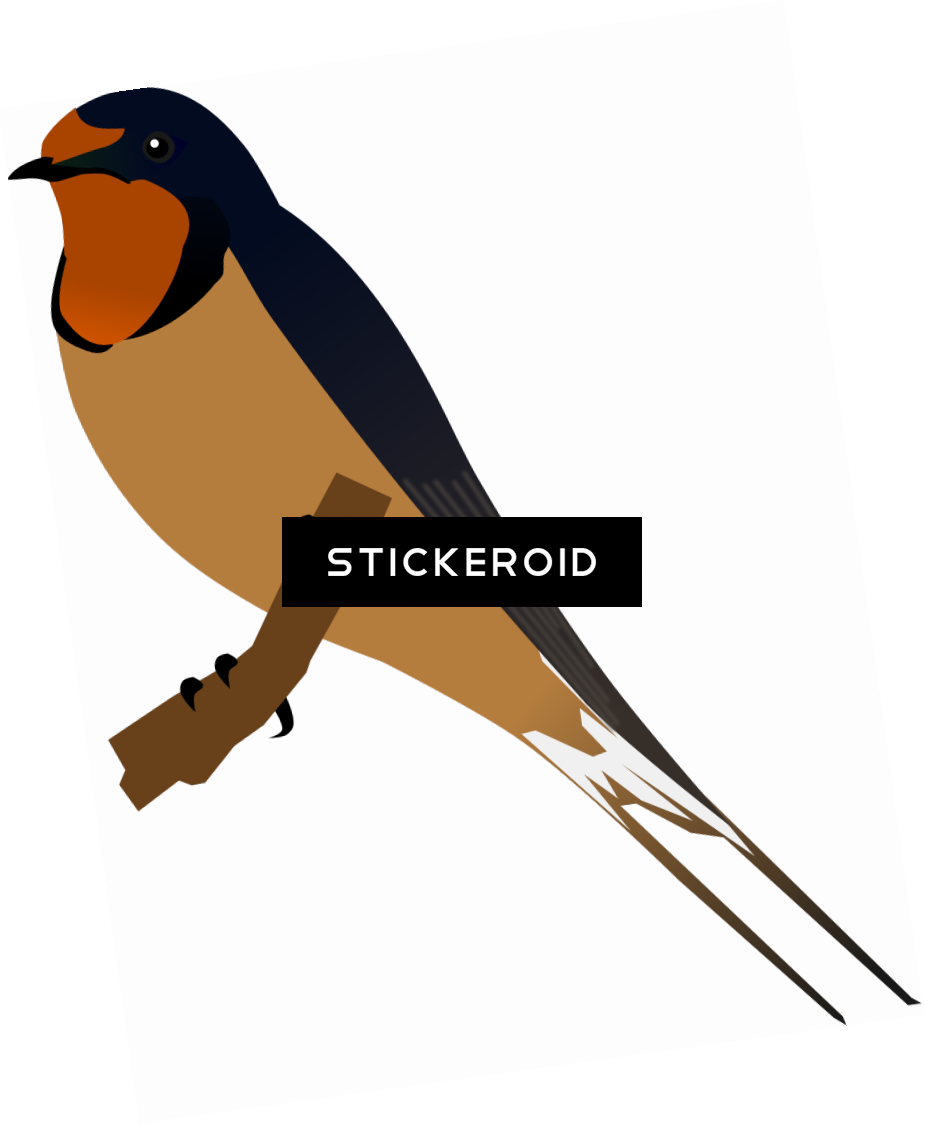Bird Silhouette - European Swallow (925x1124)