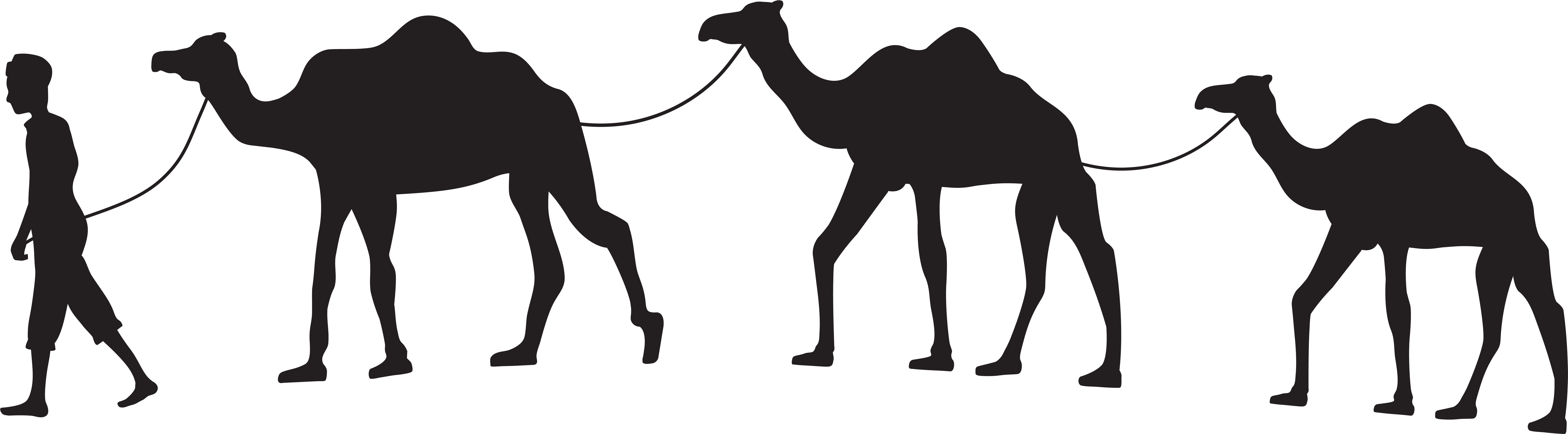 Camel Caravan Silhouette Png Clip Art Gallery - Camels Png (8000x2380)