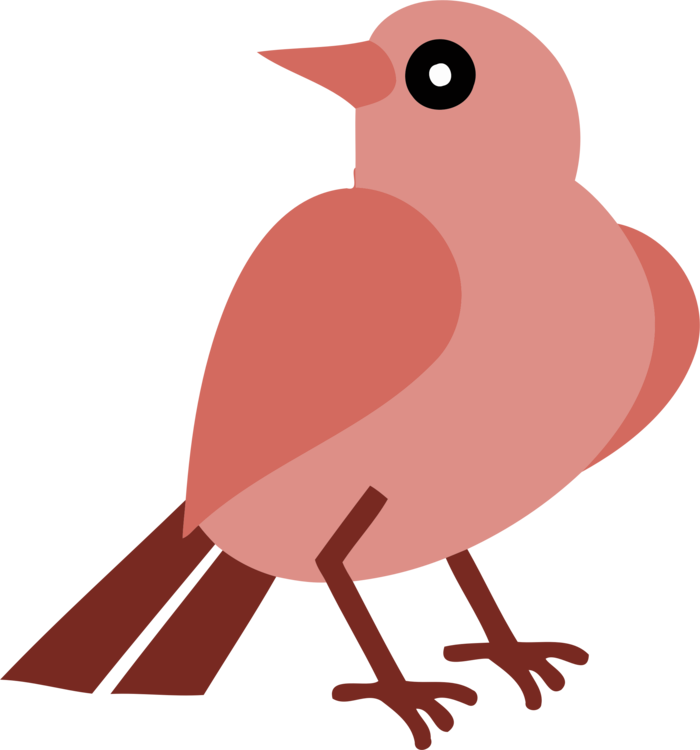 All Photo Png Clipart - Beak (700x750)