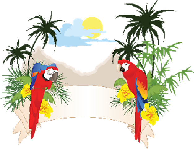 Matte Clipart Parrot - Graphic Images Of Parrots (640x480)