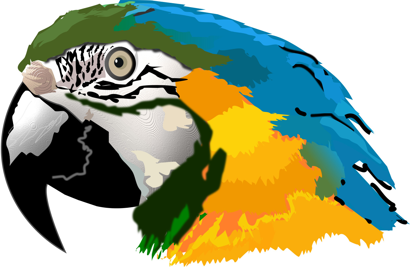 Arara Canind Inkscape - Parrot Head Clip Art (1431x933)