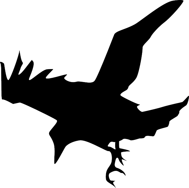 Public Domain Silhouette At - Raven Silhouette Png (640x637)