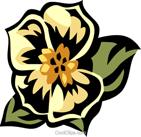 Morning Glory Royalty Free Vector Clip Art Illustration - Graphics (480x466)