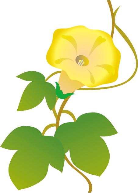 定番の花2 15 あさがおイラスト - Plawer Clip Arts (453x631)