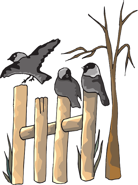 Birds On Fence Clipart (478x640)
