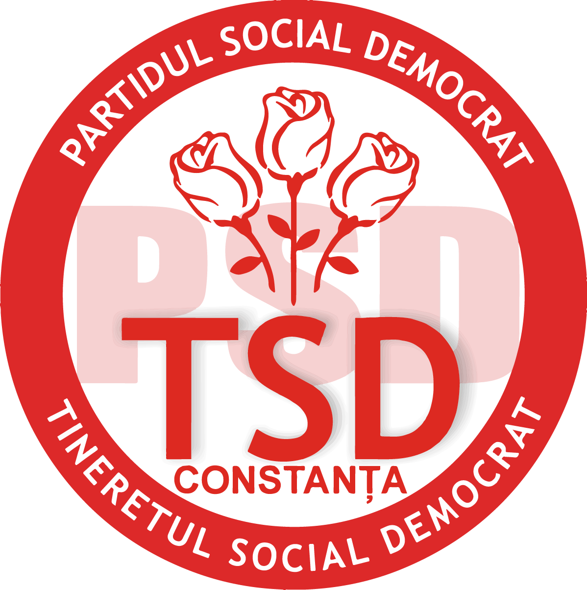 Logo - Stemma Vigili Del Fuoco Volontari (1198x1204)