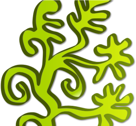 Clip Library Library Algae Clipart - Phytoplankton And Algae Clipart (640x480)
