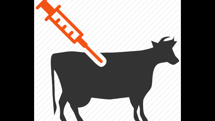 Meeting Local Demand For Animal Financial Tribune - Vaccination Icon (750x422)