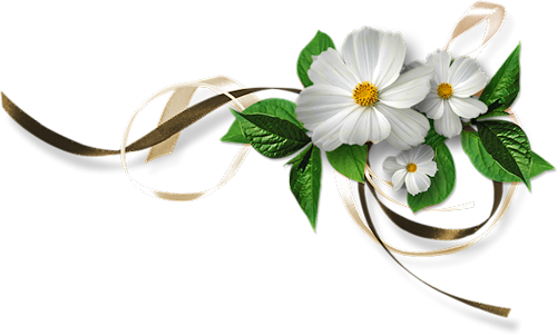 Gifs, Belles Images, Tube, Clip Art, Profile, Wedding - Wedding Flower Clipart Png (500x301)