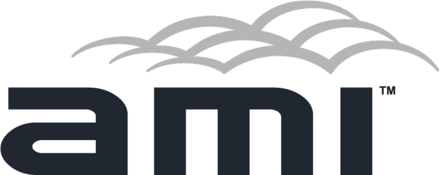 "with Their High-level Executive Leadership Experience - Ami Global (1500x599)