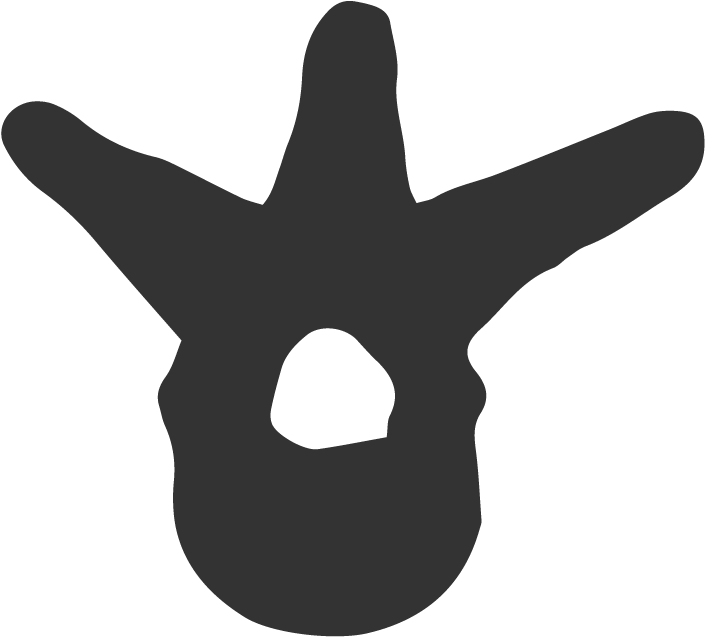 Chiropractic - Chiropractic (800x800)