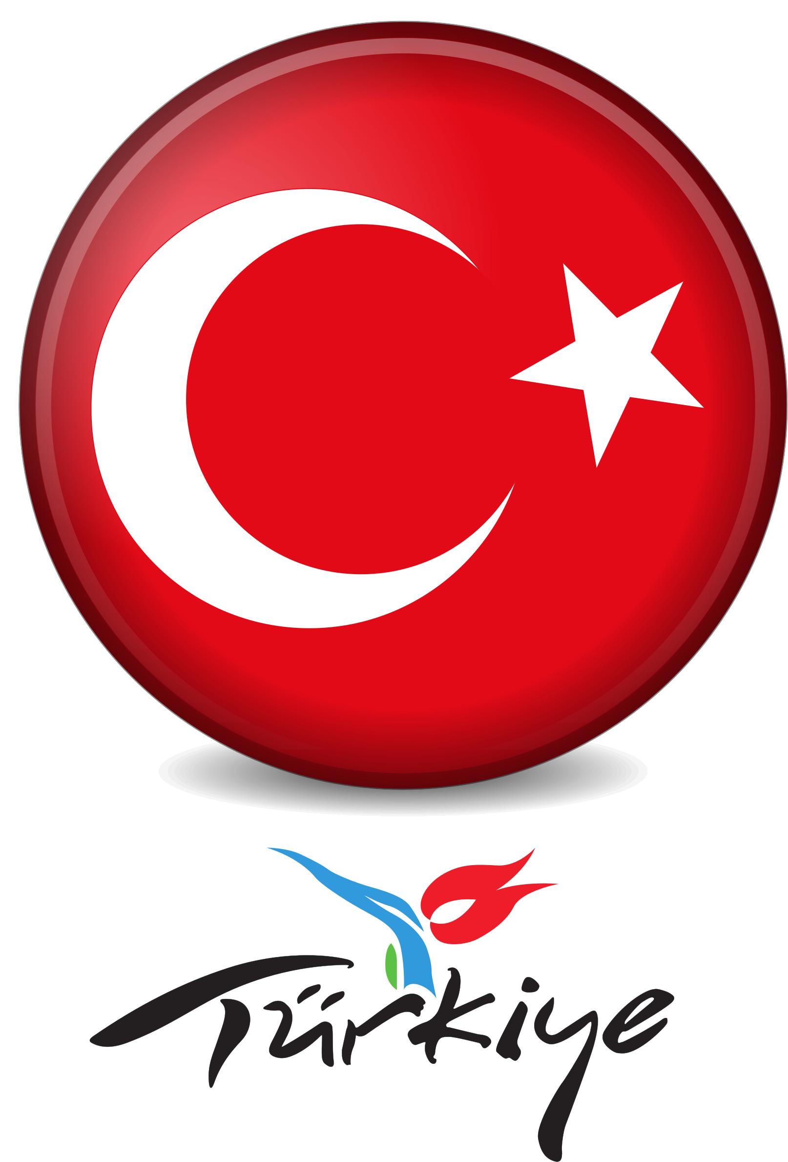 Big Image - Turkey Logo (1656x2400)