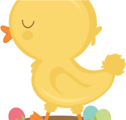 Baby Chick Clipart - Cartoon (640x480)