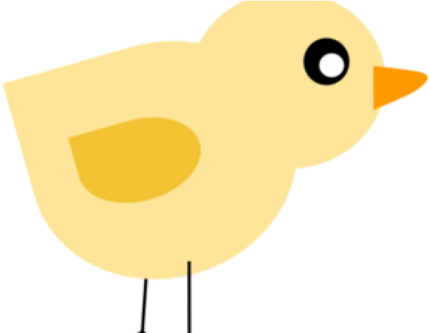 Baby Chicks Clipart - Clip Art (640x480)