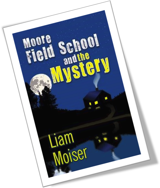A Haunted House, A Kidnappingwhat Is The Mystery Of - Moore Field School And The Mystery By Liam Moiser (673x791)