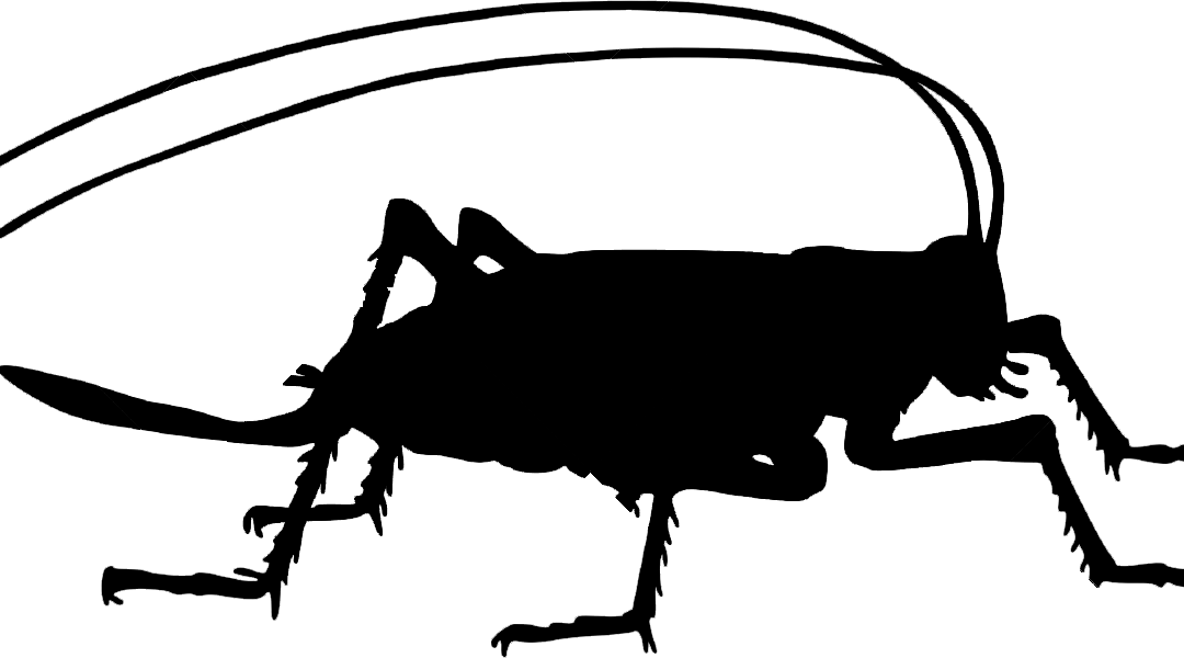 Svg Library Stock Protein Market Has Enthusiasm - Insects Silhouette Png (1080x600)