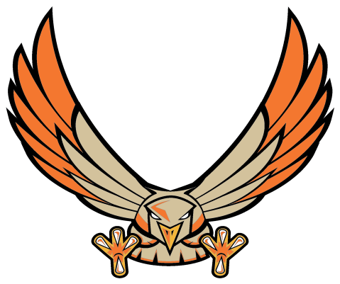 Hawk - Hawk (800x800)