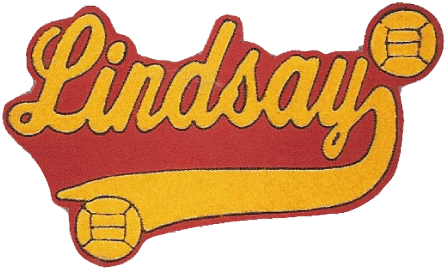 Letter Jackets & Patches F - Cartoon (498x325)