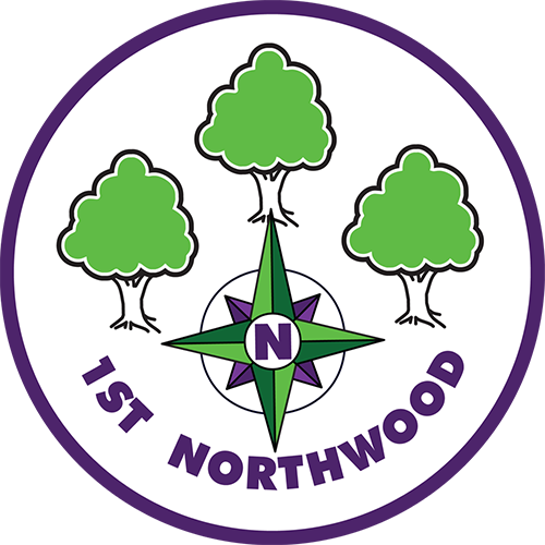 1st Northwood Scout Group - 1st Northwood Scout Group (500x500)